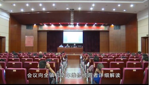 樟木頭鎮(zhèn)召開(kāi)機(jī)動(dòng)車(chē)維修行業(yè)危險(xiǎn)廢物規(guī)范化管理督導(dǎo)會(huì)，深化固體廢物污染治理