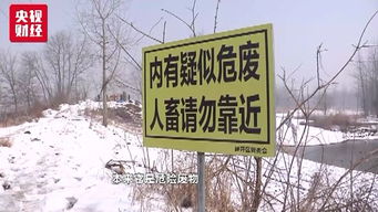 長(zhǎng)江江灘驚現(xiàn)數(shù)千噸工業(yè)垃圾 固體廢物治理再響警鐘