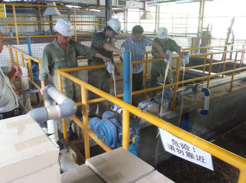 湘潭新手考證指南 固體廢物處理工證考試流程、體檢要求及污染治理工作解讀